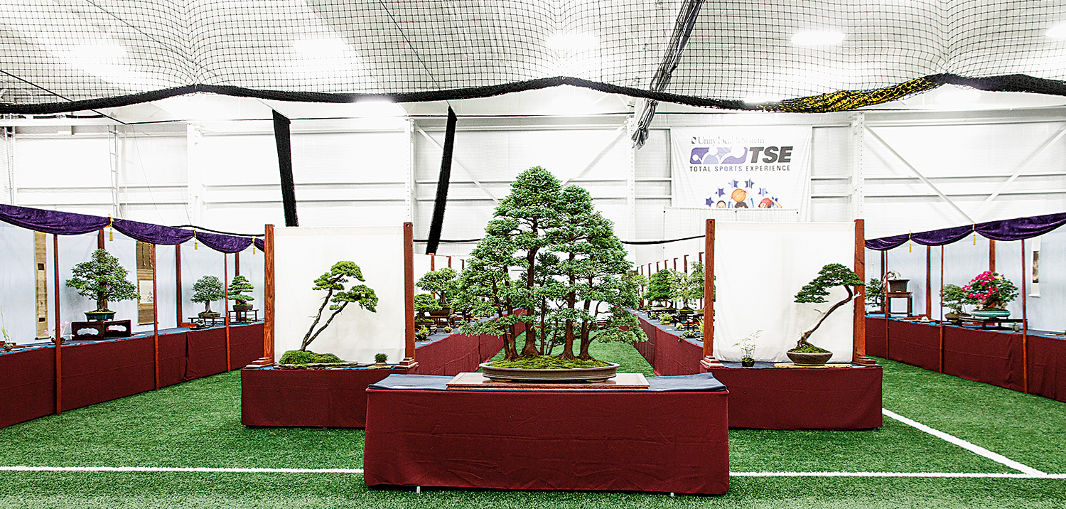 About - U.S. National Bonsai Exhibition About - U.S. National Bonsai Exhibition
