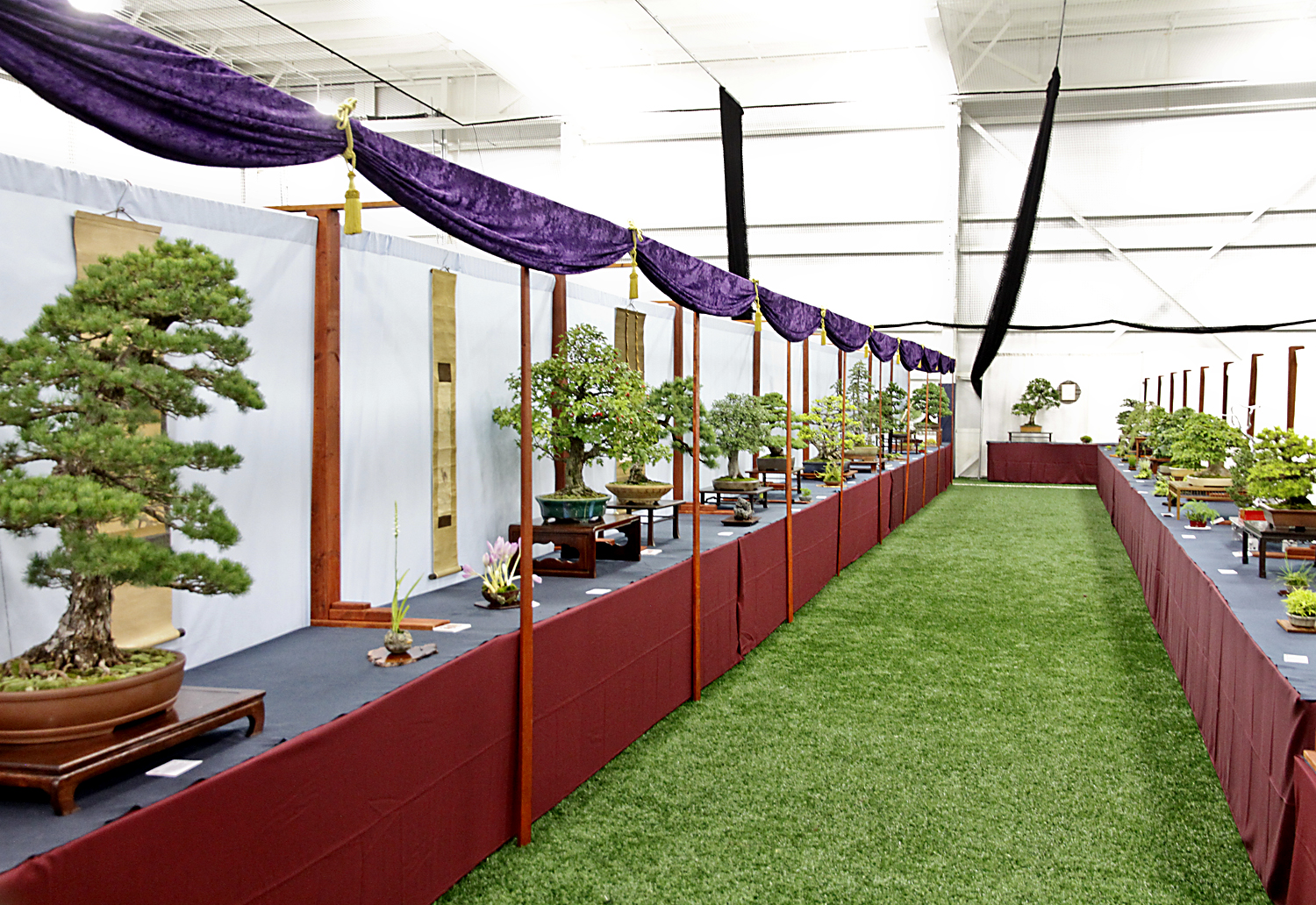 view4 U.S. National Bonsai Exhibition