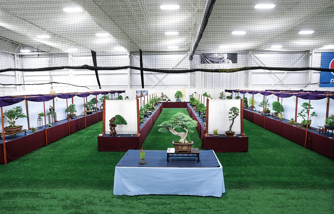 Venue U.S. National Bonsai Exhibition
