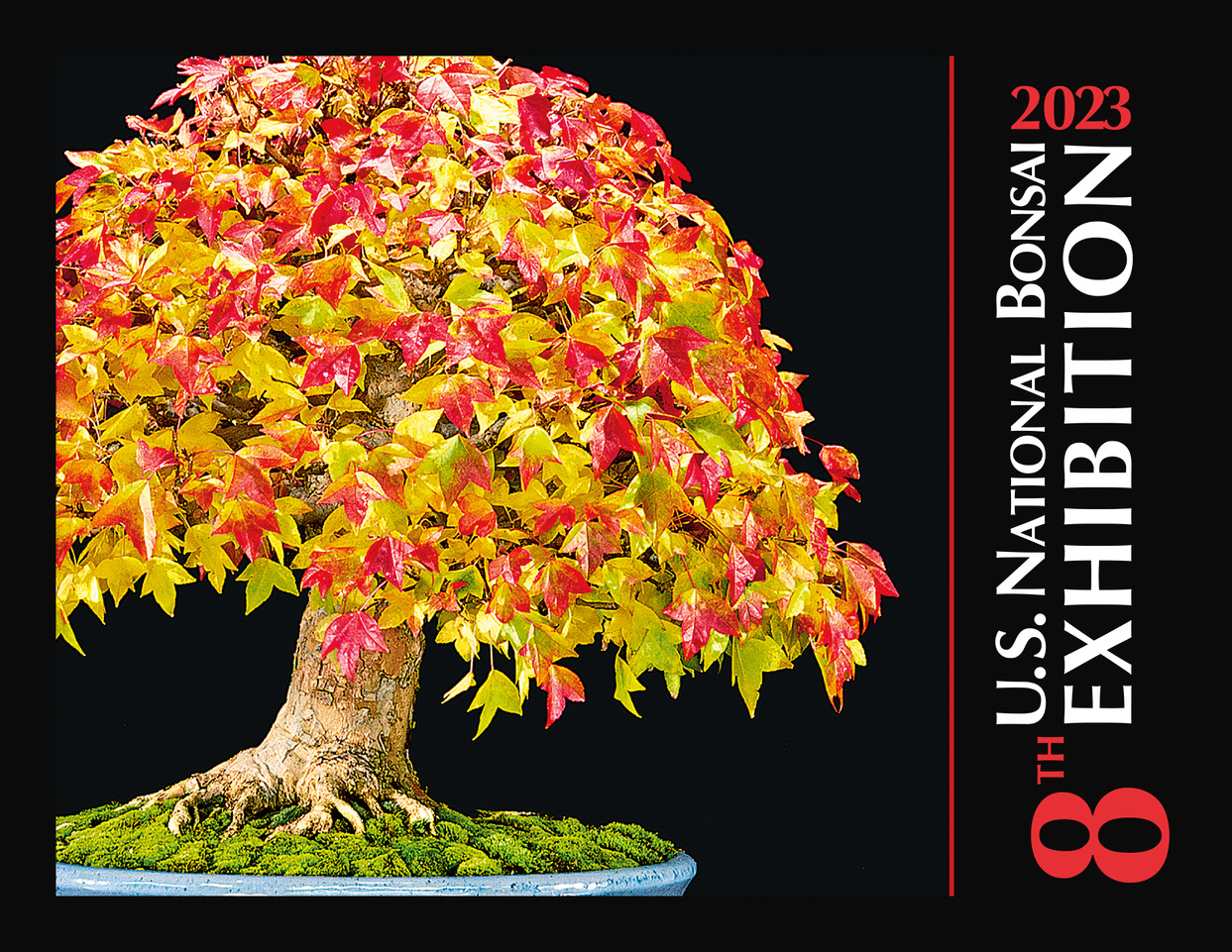 Commemorative Album - U.S. National Bonsai Exhibition